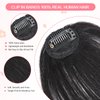 Cesomeey Clip in Bangs 100% Real Human Hair, Wispy Bangs Hair Clip, Hair Bangs Clip in Human Hair, Fake Bangs Fringe with Temples Hairpieces, Clip on Bangs for Women Daily (Natural Black, Wispy Bangs)