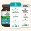 Organic India Gotu Kola Herbal Supplement - Adaptogen for Brain & Nervous System Support, Vegan, Gluten-Free, Kosher, USDA Certified Organic, Non-GMO, Calming, Clarity - 90 Capsules
