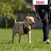 HALTI No Pull Harness - To Stop Your Dog Pulling on the Leash. Adjustable, Lightweight and Easy to Use. Reflective Dog Training Harness for Medium Dogs (Size M)