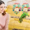BBjinronjy Bird Toys Conure Toys Hanging Natural Soft Sola Ball Beak Chew Shred Forage Toys for Parrots,Cockatiel,Conure,Love Birds,Parakeets,Budgie and Other Small Birds (Girls)