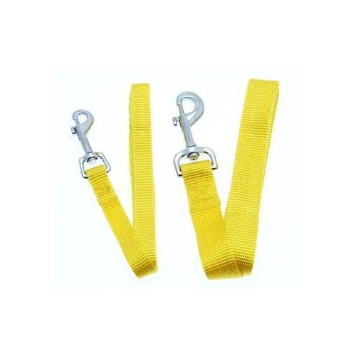 Barking Basics Dog Leash, Yellow