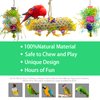 EBaokuup 3Pack Bird Chewing Toys Foraging Shredder Toy Parrot Cage Bird Loofah Hanging Toy for Cockatiel Conure African Grey Parrot