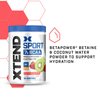 XTEND Sport BCAA Powder Strawberry Kiwi Splash - Electrolyte Powder for Recovery & Hydration with Amino Acids - 30 Servings
