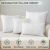 OTOSTAR Throw Pillow Insert, 12 x 20 Cushion Inner Soft Fluffy Plump Stuffer Cushion Pad White Decorative Pillow Insert