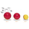 Pet Qwerks Animal Sounds Babble Ball - Chew Dog Toy - Small