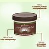 Cococare 100% Pure Coconut Oil - All Natural Coconut Oil for Skin and Hair 4 oz - 2 Pack