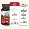 Organic India Triphala Herbal Supplement - Digestion & Colon Support, Immune System Support, Adaptogen, Nutrient Dense, Vegan, Gluten-Free, USDA Certified Organic, Non-GMO - 90 Capsules