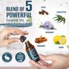 Natural Riches Five Guards Essential Oil Blend for Health Shield Aromatherapy with Clove Cinnamon Lemon Rosemary Eucalyptus Oil - 30ml
