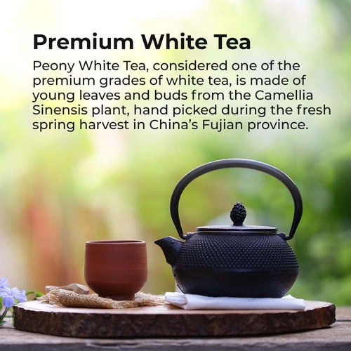 Pack of 3 x Prince of Peace Natural Premium Peony White Tea - 100 Tea Bags