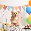 Egami 40pcs Pet Dog birthday Party Supplies,include 20 dessert plate, 20 Napkin,Used for dog birthday Party Decoration (White pet dog)