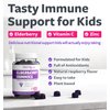 Elderberry Gummies for Kids with Vitamin C & Zinc (3 Months Supply) 90 Delicious Raspberry Flavor Gummy - Immune Support Supplement for Children - Vegetarian Sambucus Elderberry Gummies (No Pills)