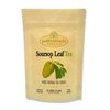 Soursop Leaf Tea - Pure Herbal Tea Series by Palm Beach Herbals (30 Tea Bags) 100% Natural