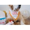 ZippyPaws Birthday Gifts for Dogs - Polkadot Birthday Bandana and Plush Squeaky Bone Toy, Dog Birthday Party Supplies for Boys & Girls