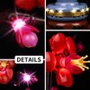 Kyglaring LED Lighting Kit, Compatible with Lego Botanical Collection 10369 Icons Plum Blossom Models（Lego Sets Not Included）！