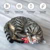 Leo's Paw Mini Floppy Fish w/Silvervine & Catnip Stimulating Real-Life Fish Impression Keeps Kitty Active & Entertained Prevents Boredom & Destructive Behaviour Cat Kicker Toy for Exercise & Play