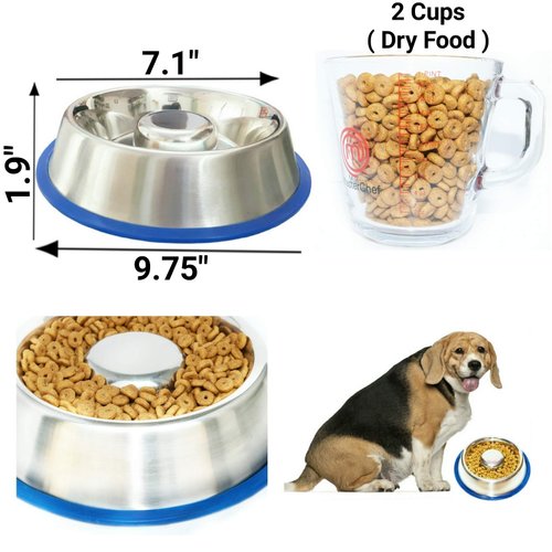 Mr. Peanut's Stainless Steel Interactive Slow Feed Dog Bowl with a Blue Silicone Base, Fun Healthy Bloat Stop Feeder (Medium)
