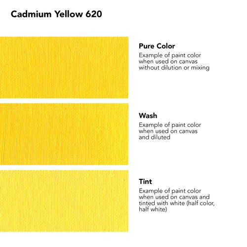 Daler Rowney Georgian Oil Paint Cadmium Yellow 38ml Tube - Art Paints for Canvas Paper and More - Oil Painting Supplies for Artists and Students - Artist Oil Paint for Any Skill Set