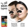 Global Beauty Care 18 Nose Cleansing Strips VARIETY PACK Charcoal with Tea Tree, Witch Hazel, & Vitamin C For Blackheads Removal Strips - 18 Ct