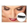 3D Professional Reusable Dual Magnetic False Eyelashes 1 Pair (4 pieces) Natural Black