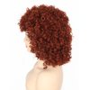 Topcosplay Womens Short Curly Wigs for Black Women Afro Kinky Curls Synthetic Wig for African American Women (Auburn Brown)
