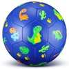 HyDren Soccer Ball with Pump Official Size 3 Cute Dinosaur Soccer Toy Soft Durable Outdoor Indoor Sports Soccer Game Back to School Gift for Kids 4 to 6(Blue Dinosaur)