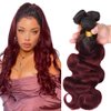 NiegMeag Burgundy Bundles Ombre Deep Wave Human Hair Bundles Brazilian Unprocessed Virgin Hair 3 Bundles 16 18 20 Inch Two Tone Black and Wine Red Bundles Human Hair Extensions…