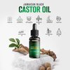 Rédiance 100% Pure Jamaican Black Castor Oil – Cold-Pressed Organic Oil for Hair Growth | Skin Moisturizer | Nail Care |Strengthens and Hydrates for Healthy Hair & Glowing Skin – 60ml