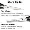 Professional Hairdressing Scissors Thinning Shears Kit, Barber Texturizing Salon Razor Edge Scissor, Japanese Stainless Steel, 6.88 Inch