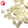 Bonka Bird Toys 3889 Pk24 Sola Squares Foot Talon Craft Part Natural Chew Cockatiel Parakeet Conure and Other Small Pets