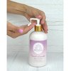 Divina Esencial Calming French Lavender Hand Lotion, Shea Butter, 12oz (Pack of 2) with Pure Essential Oils, Coconut Oil, Aloe Vera.