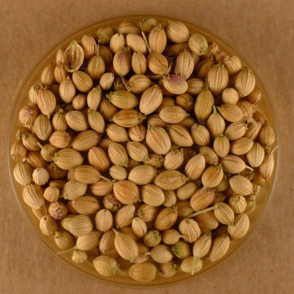 Coriander Seeds, Whole - 5 lbs Bulk