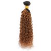 Ombre Brazilian Kinky Curly Hair 1 Bundles, 10A Remy Dark Blonde Curly Weave Human Hair Extensions 100g, 100% Unprocessed Brazilian Virgin Hair Color Brown 12 Inch