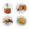 20 PCS Insect Animal Life Cycle Model Figure Plant Spider Bee Butterfly Figurines Ornament Cake Toppers Party Favors Supplies Cognitive Toy for Boys Girls Kids