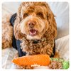 Pawty Dog Toys - Carrot Tug Rope Dog Toy - Squeaky Gift for Puppy Birthday - Cute Toys for Small to Medium Dogs - Durable Toy for Aggressive Chewer - Dog/Puppy Chew Food Shaped Toy - Tug Rope Dog Toy