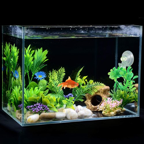 SLSON Fishes Veggie Seaweed Plant Suction Cup Clip Feeding Tool Feed Holder Aquarium Accessories for Fish Tank Fish Feeder Clips (4Pack Transparent)