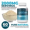 HARMONIFY Creatine Monohydrate Amino Acid Powder 2000 mg- Support Muscles, Cellular Energy and Cognitive Function - Gluten-Free, Keto - NSF Certified, 60 Servings