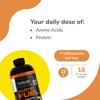 Twinlab Amino Fuel - Pre-Workout and Post-Workout Energy Drink & Supplement -16 fl oz, Orange Rush