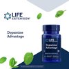 Life Extension Dopamine Advantage - Phellodendron Bark Supplement with Vitamin B12 - for Youthful Dopamine Levels and Brain Health - Gluten-Free, Non-GMO, Vegetarian - 30 Capsules