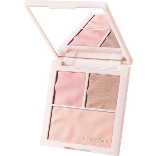 CARSLAN 3 Colors Blush Palette For Cheek Makeup, Matte Blush Powder Blendable Face Blush,12H Longlasting, Lightweight, Smooth Pink Blush, Wonderland Pink, 0.37Oz