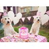 64pcs Dog Party Supplies,Puppy Birthday Party Tableware Set,Pink Puppy Face Plates Napkins Forks for Girls Kids Dog Puppy Birthday Paw Prints Party Decor,Serves 16