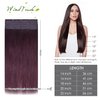 WindTouch Tape in Hair Extensions Wine Red Remy Hair Extensions Silky-Smooth Straight Burgundy 20 Pcs 16Inch #99j 30g Invisible Tape in Hair Extensions Human Hair