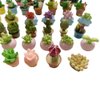 SIX VANKA Miniature Potted Plants Resin Decoration 30pcs Random Set for Doll House Pretend Play Toys DIY Mini Home Garden Flowerpot Succulent Planter