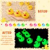 Chitidr Glow in The Dark Rubber Ducks 2.2'' Luminous Mini Rubber Duck Fluorescent Tiny Ducks Light up Floating Squeaky Bathtub Toys for Baby Showers Summer Beach Pool Party Games(24 Pcs, Colorful)