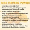 Herbs Botanica Wild Turmeric Powder Exfoliator| Amba Haldi Powder | Kasturi Manjal | Kasturi Turmeric150 Gms / 5.30 oz