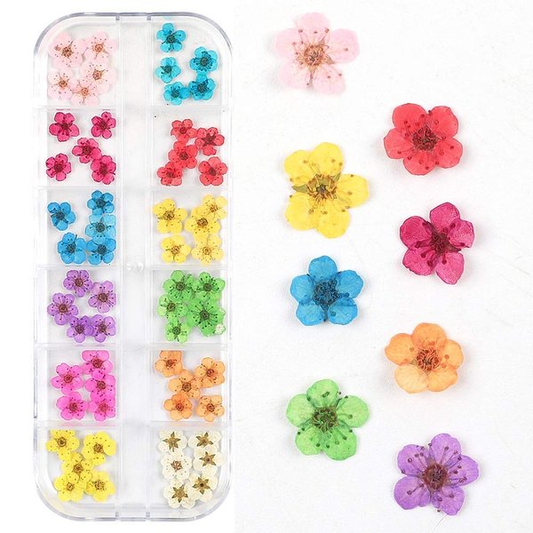 Valuu 3D Nail Dried Flowers Sticker，60 Five Petal Flower 12 Colors Natural Real Dry Flower Nail Stickers （60 Flowers）