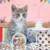 BAIFNEZ 40Pcs Cat Birthday Party Plates Napkins, Cat Party Supplies paper plates, kitten birthday Disposable Tableware Decorations