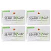 Reviva Seaweed Soap - 4 Pack - Organic Seaweed Face Scrub and Exfoliating Body Scrub Soap Bar - 4.5 oz. Vegetable Base Natural Bar Soap and Seaweed Bath Detox Soap Made in the USA