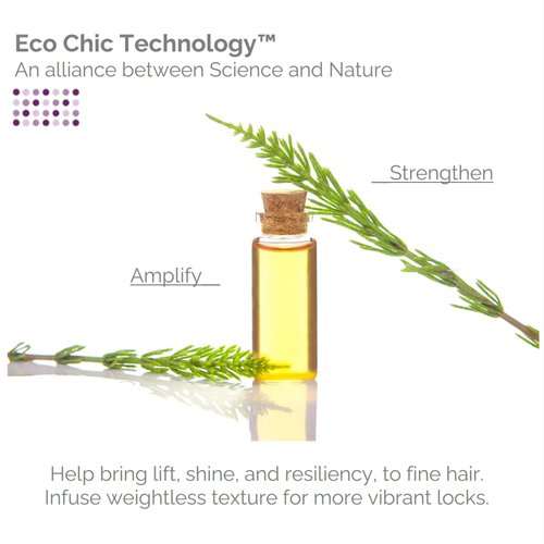 GIOVANNI 2chic Root 66 Max Volume Conditioner - For Fine Hair, Helps Strengthen & Protect Fine, Lifeless Hair, Volumizing Conditioner, Infused with Natural Botanical Ingredients - 8.5 oz (3 Pack)