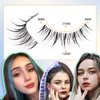 Anime Lashes With Clear Band Korean Lashes 13mm Natural Manga Look Eyelashes Wispy Anime Eyelashes 10 Pairs False Lashes Japanese Korean Natural Lashes Asian Lashes by Obeyalash