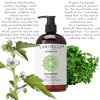 Laritelle Organic Shampoo 17.5 oz | Organic Quinoa + Keratin + Follicle Stimulating Rosemary, Ginger & Grapefruit | Hair Loss Prevention, Clarifying, Softening, Strengthening | NO GMO. Vegan